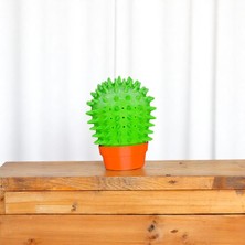 Krh 3D Print Kedi Kaşınma Aparatı Kaktüs