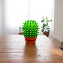 Krh 3D Print Kedi Kaşınma Aparatı Kaktüs