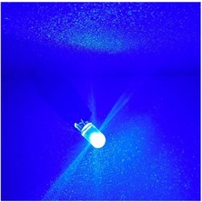 ( 5 x Adet ) 1 Set LED T10 Dipsiz Ampul 12V Dıamond Pıne Blue (5W Dipsiz Ampul Elmas Cam Mavi)
