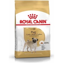 Royal Canin Pug Adult Yetişkin Köpek Maması 1.5 Kg.gzpde