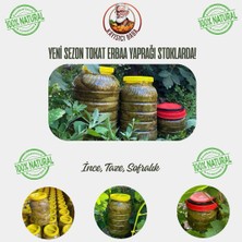 Kayısıcı Baba Tokat Salamura Asma Yaprağı 3 kg