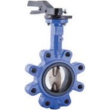 Klepsan 2162 2 1/2 PN16 Kelebek Vana Lug Tip DN65