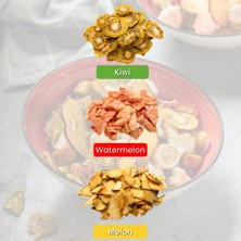 Ofresko Kuru Meyve Mix 3'lü Paket - Dondurularak Kurutulmuş Karpuz - Fırınlanarak Kurutulmuş Kavun ve Kivi - Katkısız & İlave Şekersiz