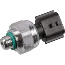 Febı 182413  Elektrik Basınç Müşürü Dacia