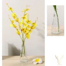Polka Şeffaf Simple Vazo - 18,7 cm