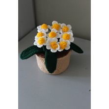 Saksıda Çoklu Papatya, Örgü Çiçek Buketi