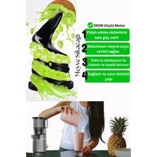 Slow Juicer Yavaş Sıkım Katı Meyve Sıkacağı Sorbe ve Dondurma