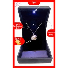 Işıklı Premium Kutuda Istiridye Inci Çelik Kolye