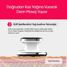 Springmax Ems Zayıflama ve Selülit Cihazı