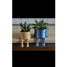 2'li Eklemli Kaktüs Saksı