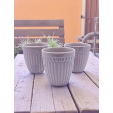 Sharp & Art Seramik Saksı Seti, 3 Parça, Hem Ergonomik Hem Dekoratif...sukulent, Kaktüs Vs.