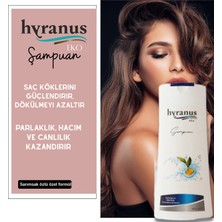 Hyranus Eko Sarımsak ve Bitki Özlü Onarıcı Şampuan 400ml