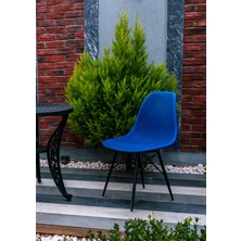 Newbella Safir Sandalye – Metal Ayaklı Modern Mutfak Kafe Restoran Ofis Sandalyesi