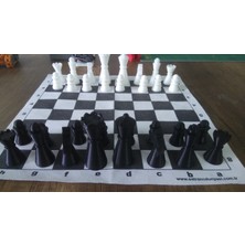Klasik Satranç THN4165800