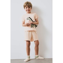 DeFacto %100 Pamuklu Dinozor Baskılı Beli Lastikli Pijama Takımı Erkek Bebek E4778A525SM