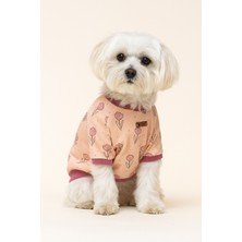 Çiçek Desenli Ince Köpek Sweatshirt