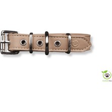 Purrfectly Paws Köpek Boyun Tasması Kum Beji S Beden