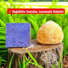 Lavanta Sabunu & Doğal Deniz Süngeri Seti – Cilt Bakımı