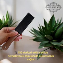 Aslancan Natural Shop Ahşap Saplı Topuk Törpüsü Ponza Taşı