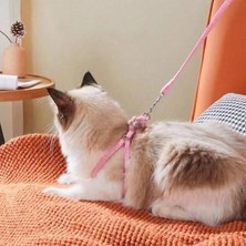 Kedi Gezdirme Göğüs Tasması