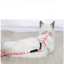 Kedi Gezdirme Göğüs Tasması