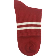 Darkzone Michaelkids22Y Kırmızı Erkek Çorap