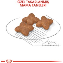 Royal Canin Mini Adult Küçük Irk Yetişkin Köpek Maması 4 Kg