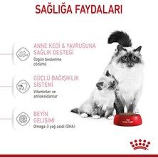 Royal Canin® Mother & Babycat Yavru Kedi Maması 2 Kg