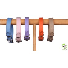 Purrfectly Paws Köpek Boyun Tasması Bal Kabağı Turuncusu