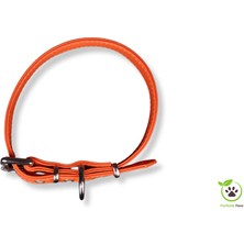 Purrfectly Paws Köpek Boyun Tasması Bal Kabağı Turuncusu