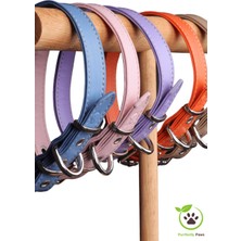 Purrfectly Paws Köpek Boyun Tasması Bal Kabağı Turuncusu