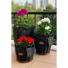Premium Siyah Renk 3'lü Saksılık Seti