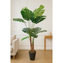 Maki Dekor Yapay Ağaç Monstera 170 cm