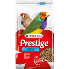 Versele Laga Tropikal Finch Yemi 1 kg x 1 Adet Sptgl