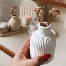 Dekoratif Pampas Vazo Vanilya Kokulu Mumluk Sunum Altlığı Üçlü Set English Home