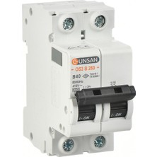 Günsan Valta Otomatik Sigorta 2 Kutup 6ka B Tip 40A