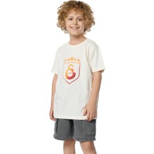 Gs Store Galatasaray Kalkan Degrade 5 Yıldız Çocuk T-Shirt C251396