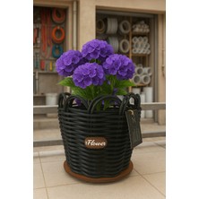 20 cm Premium Siyah Renk Saksılık