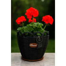25 cm Premium Siyah Renk Saksılık