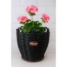 25 cm Premium Siyah Renk Saksılık
