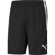 Puma Teamliga  Training Shorts Erkek Futbol Maç Şortu 65724903 Siyah