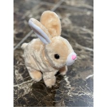 Elite Newayer Elektronik Pilli Sesli Zıplayan Hareketli Havuçlu Krem Rengi Peluş Tavşan 18X17 cm 1 Adet