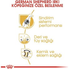 Royal Canin German Shepherd Adult Yetişkin Köpek Maması 11 Kg