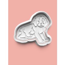 Aktastore English Springer Spaniel Köpek Figürü Kurabiye Kalıbı ve Şeker Hamuru Kalıbı