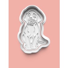Aktastore Vizsla Köpek Figürü Kurabiye Kalıbı ve Şeker Hamuru Kalıbı