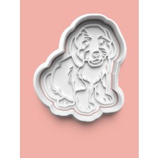 Aktastore Bearded Colly Köpek Figürü Kurabiye Kalıbı ve Şeker Hamuru Kalıbı