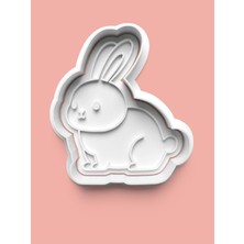 Aktastore Tavşan Figürü Kurabiye Kalıbı ve Şeker Hamuru Kalıbı