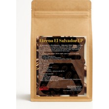 New Coffee Eterna El Salvador La Providencia Mikrolot Filtre Kahve 250G – Doğal Işleme | Erik, Elma ve Konyak Notaları | Sca 84–86 | V60 – Chemex – Aeropress – French Press – Moka Pot Uyumlu
