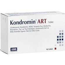 Assos Kondromin Art 90 Tablet