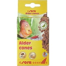 Sera Kızılağaç Kozalağı 50 Adet